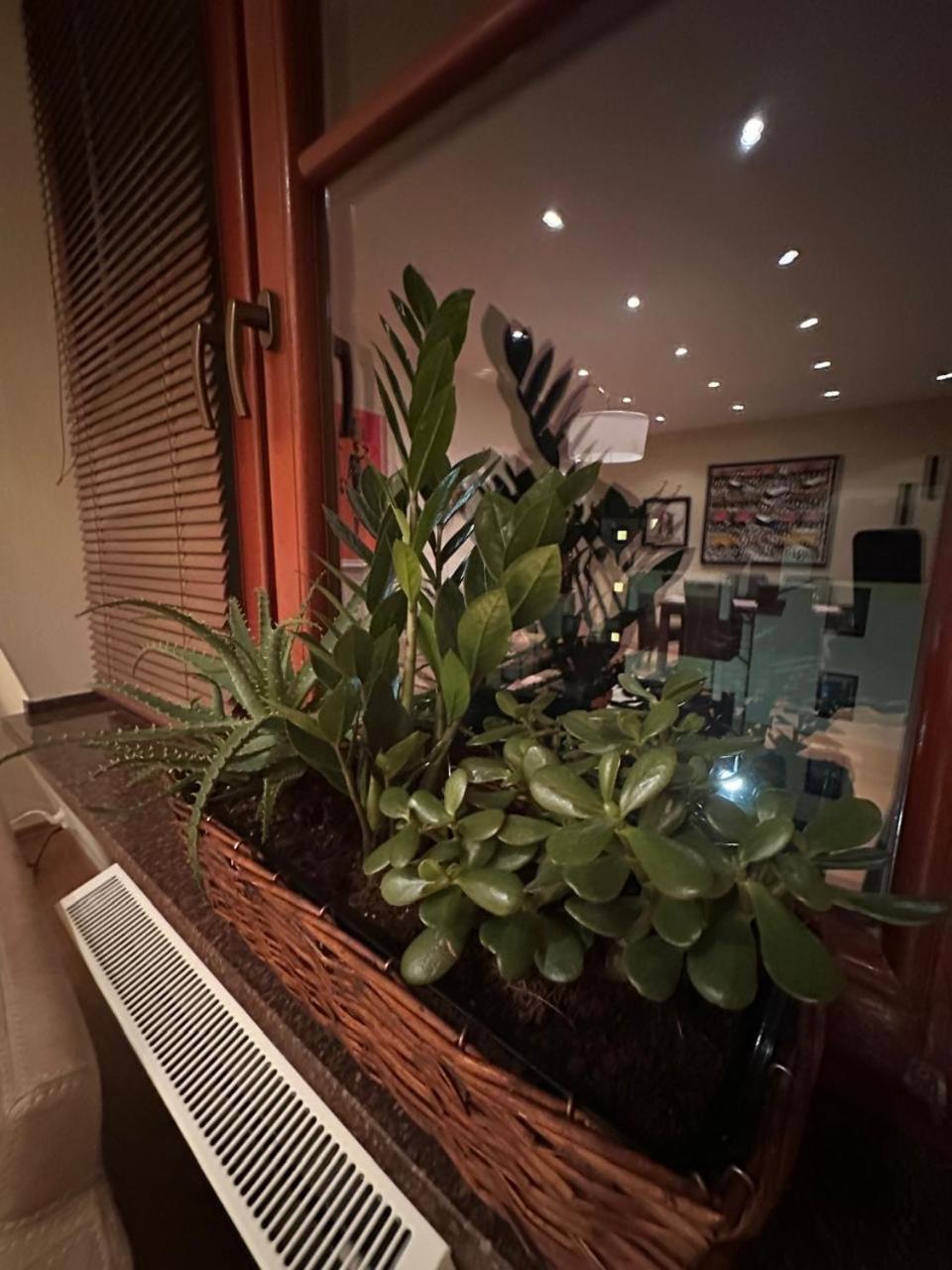 Apartament Josefina Поляница-Здрой Екстериор снимка